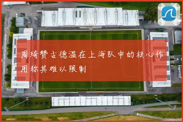 周琦赞古德温在上海队中的核心作用称其难以限制