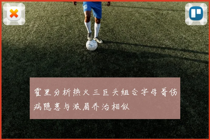 霍里分析热火三巨头组合字母哥伤病隐患与浓眉乔治相似